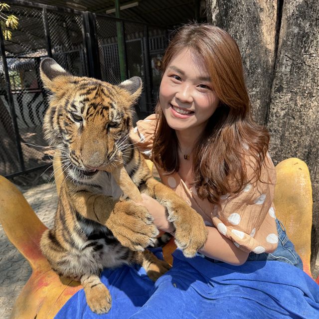 曼谷-北碧府賽佛瑞野生動物園