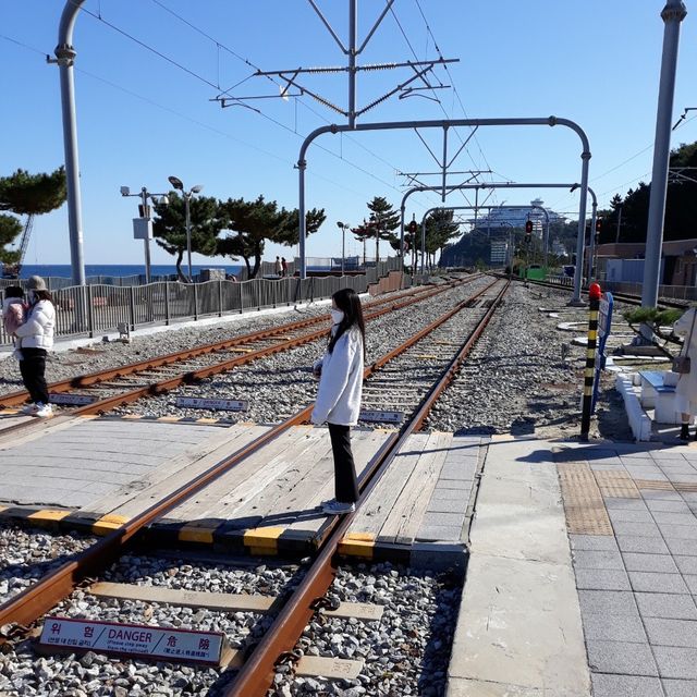 기찻길과 바다가 어우러진 정동진역