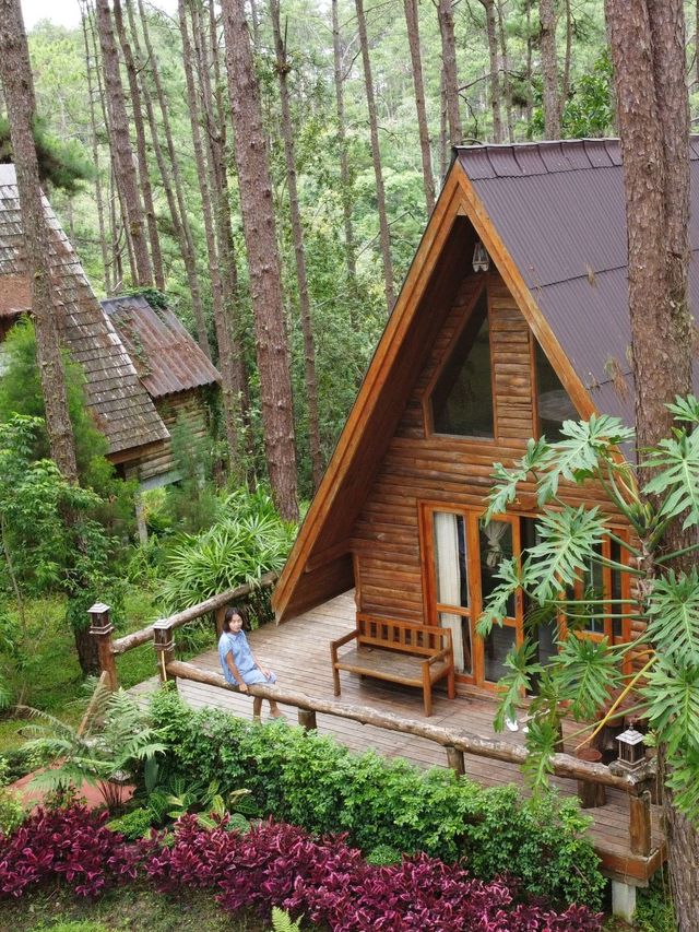 นอนบ้านไม้ เดินชมสวนสนฟรี สวนป่าดอยบ่อหลวง เชียงใหม่