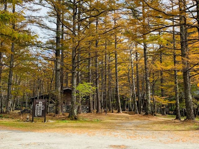 Mùa thu Kamikochi,nagano,japan