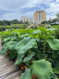 The beautiful Greenland in Macau 