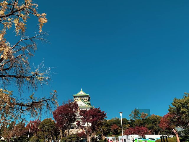 ปราสาทโอซาก้า (Osaka Castle)🏯ฤดูใบไม้เปลี่ยนสี