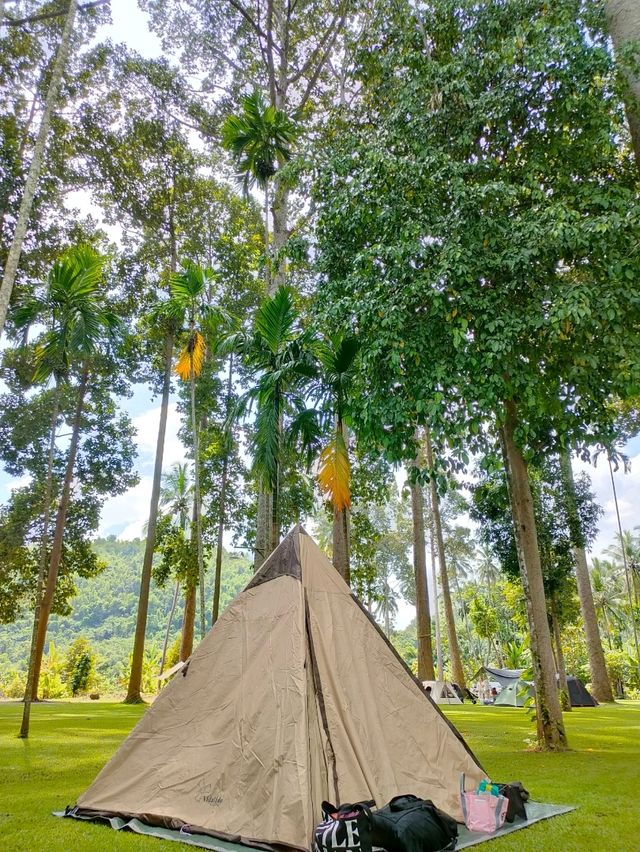 ยางนาแคมป์ Yangna Camp อุทัยธานี