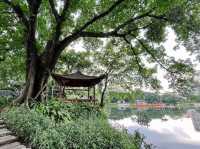 在老西關不可不逛的公園