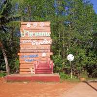 #สะพานแดง ป่าชายเลนบ้านสลักเพชร