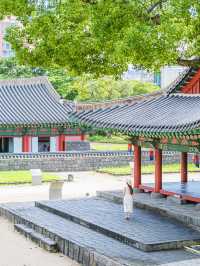 🌿여름빛 가득한 아름다운 제주 관아 [제주목관아]🍊
