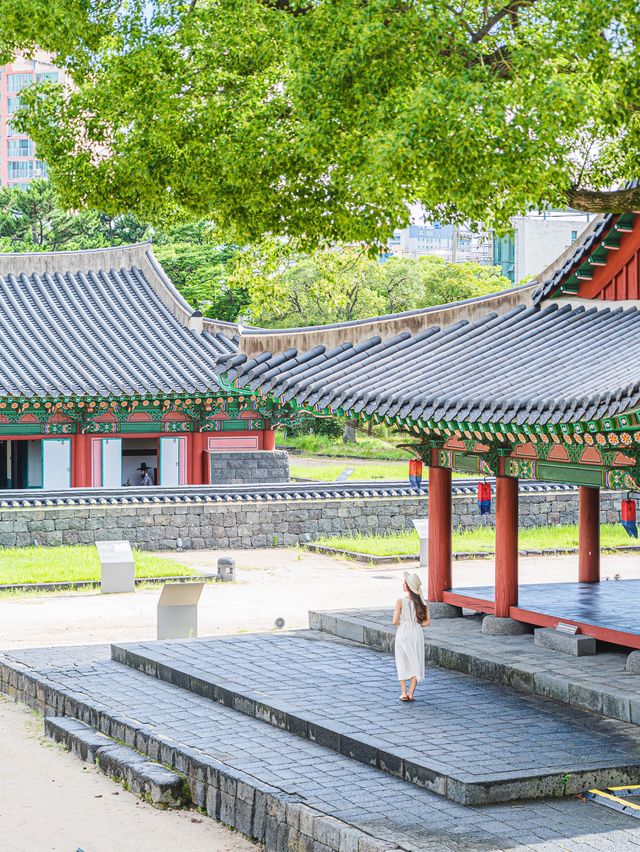 🌿여름빛 가득한 아름다운 제주 관아 [제주목관아]🍊
