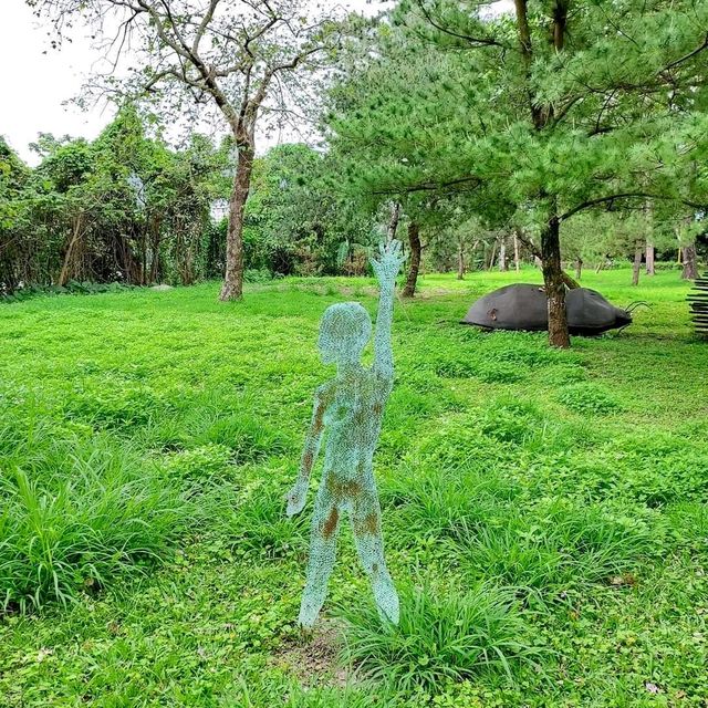 花蓮秘密基地💖💞與小叮噹拍照、孔雀開屏好美麗