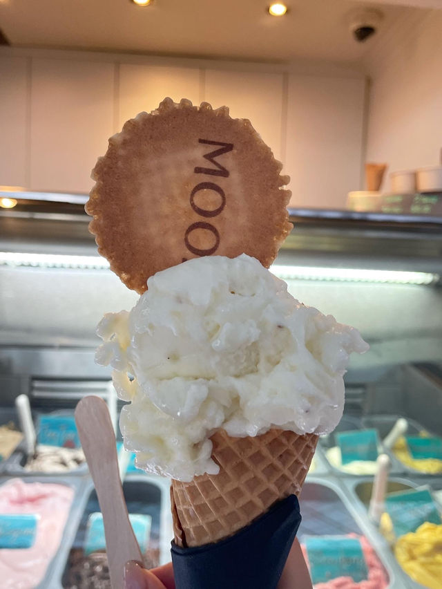 【アイス天国】ケアンズのアイス屋さん4選🍨