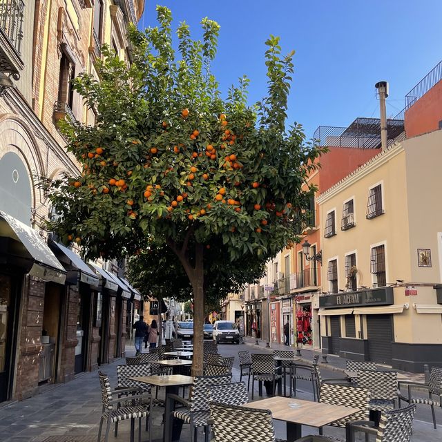 Orange you glad you went to Seville? 🍊 