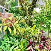 【静岡】熱川バナナワニ園🌼温泉を利用してるって✨