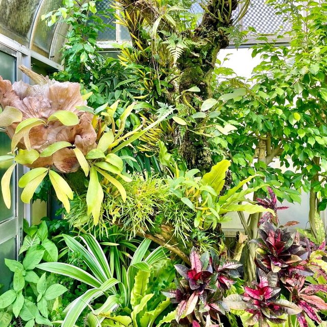 【静岡】熱川バナナワニ園🌼温泉を利用してるって✨