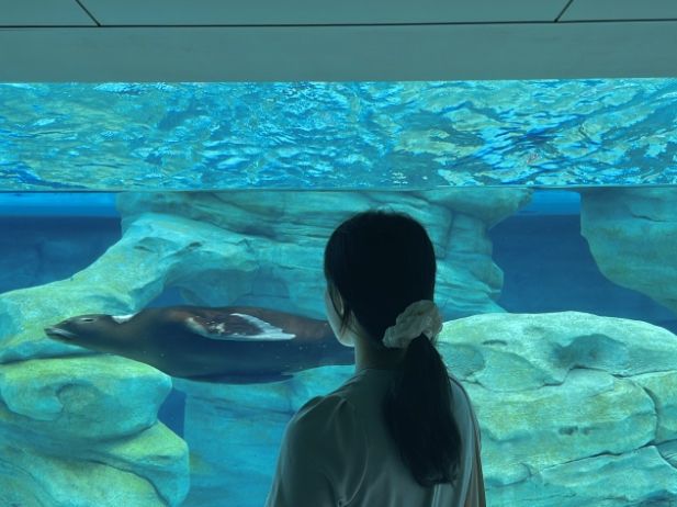 🇯🇵 오사카 주유패스로 무료관광 5️⃣ 덴노지 동물원