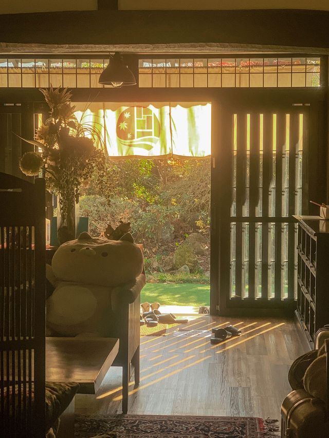 日本 | 由布院 住進一家有溫度的貓貓民宿🐈