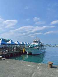 《宜蘭》搭乘遊艇出海賞鯨豚 一覽絕美海景-龜山島
