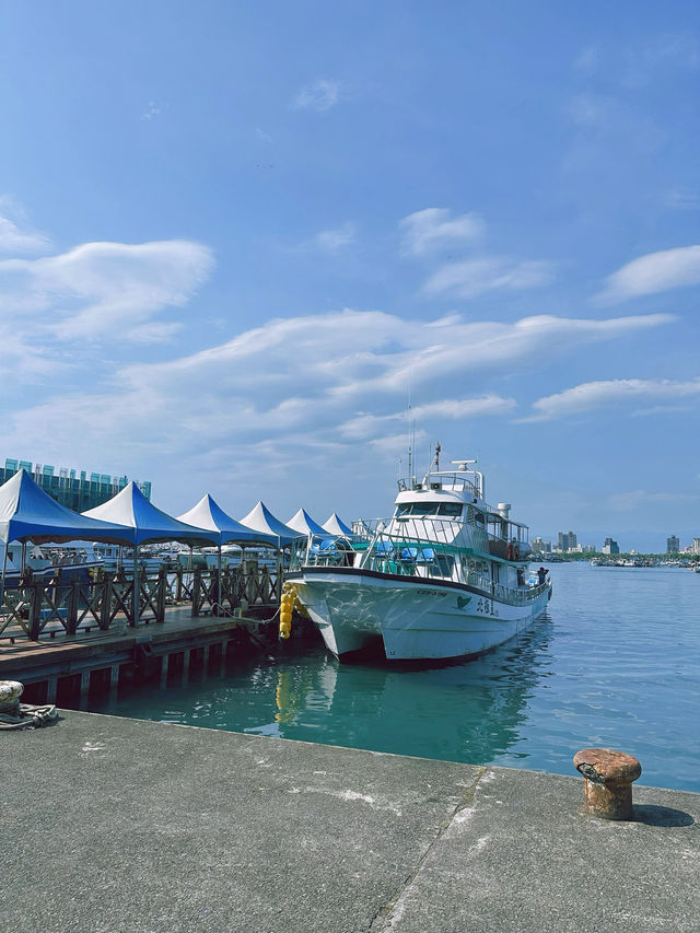 《宜蘭》搭乘遊艇出海賞鯨豚 一覽絕美海景-龜山島