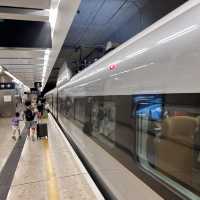 高鐵初體驗🚝方便快捷