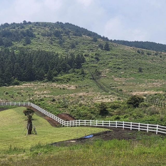 🌳 넓직한 풍경과 풍차 풍경이 보이는 백약이오름