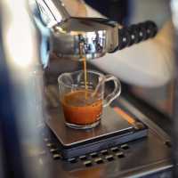 A DAY IN CHIANGMAI COFFEE BREW