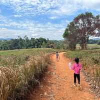 เที่ยวเขาใหญ่ ขึ้นหอดูสัตว์ และเดินศึกษาธรรมชาติ