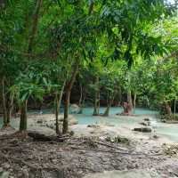 สวนรุกขชาติวังก้านเหลือง