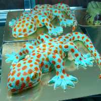 ร้านเวทย์มนต์คาเฟ่ เจริญนคร