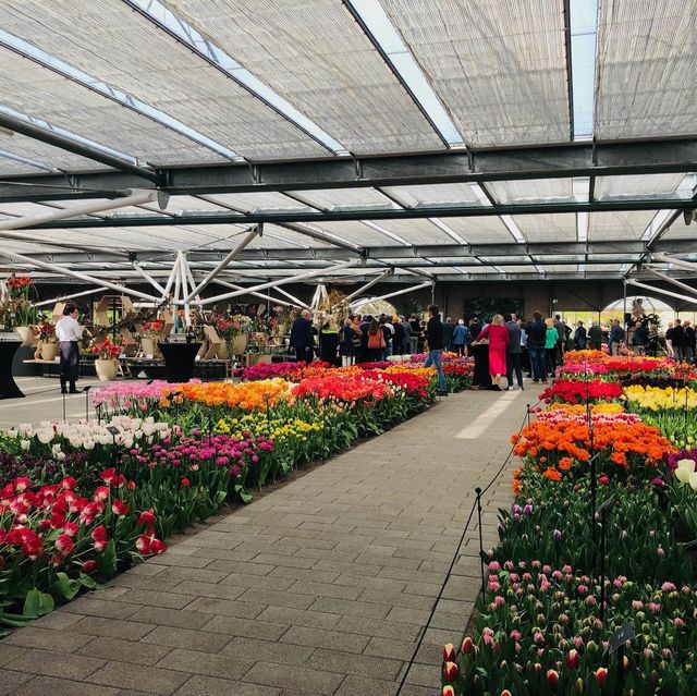 荷蘭🇳🇱盧瑟·花卉展覽活動&花藝創作比賽🌷🍀 Keukenhof 庫肯霍夫