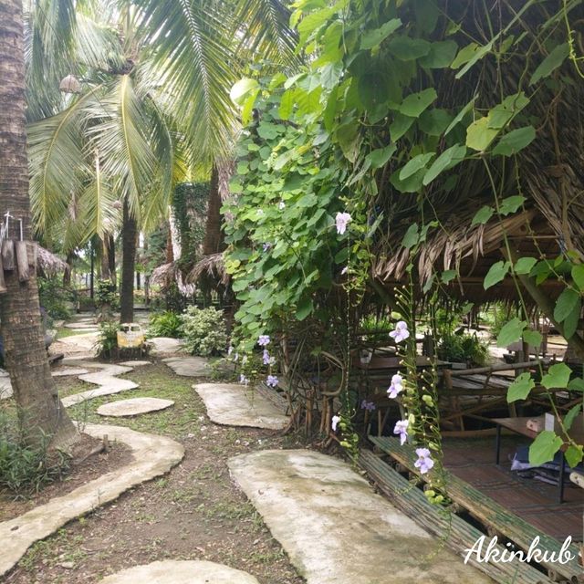 คาเฟ่บรรยากาศสวนมะพร้าว