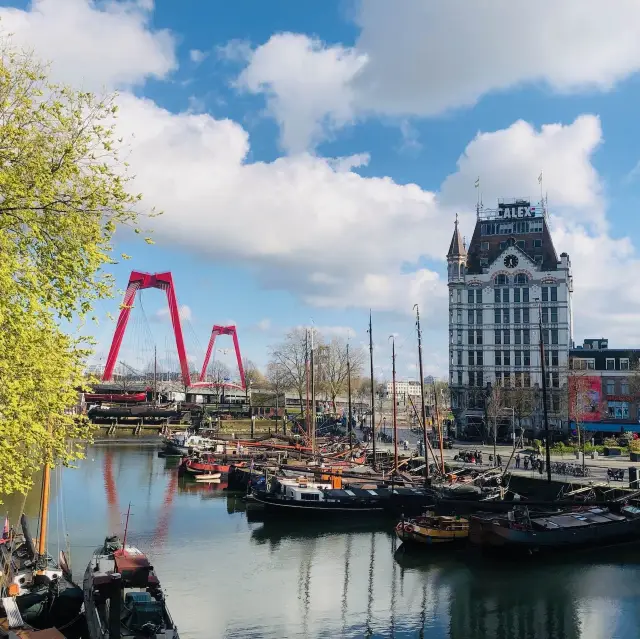 荷蘭🇳🇱鹿特丹 Rotterdam 🍦🍨吃冰淇淋欣賞美好風景🟨⬜️立體方塊屋 Cube Houses 