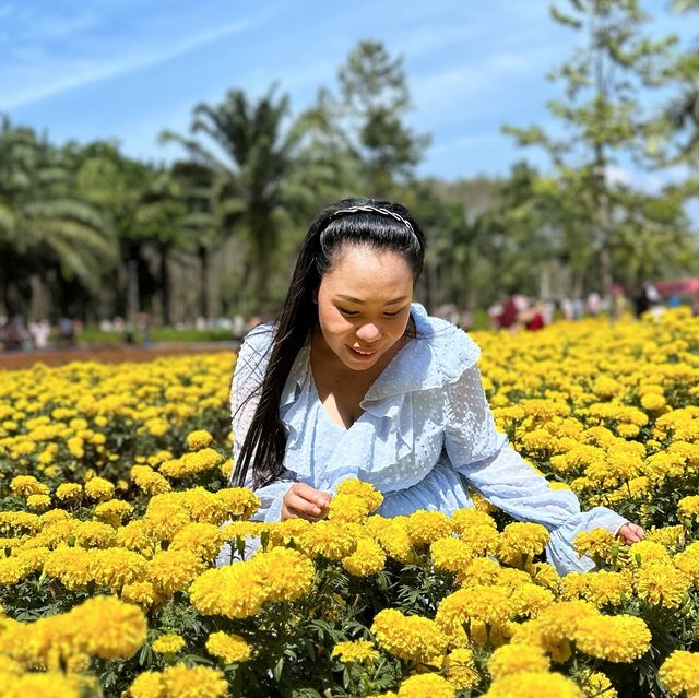 สวนดอกไม้ ไร่คุณอารียา @ กระบี่ 