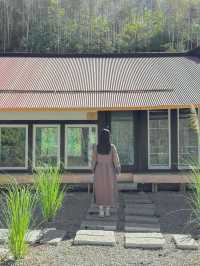 으지네의 두번째 이야기 평창 스테이풍, 오늘의 우리 집🏠