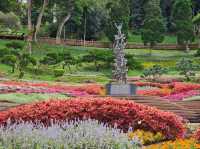 ขึ้นดอยตุง ชมดอกไม้บาน ที่สวนแม่ฟ้าหลวง จ.เชียงราย