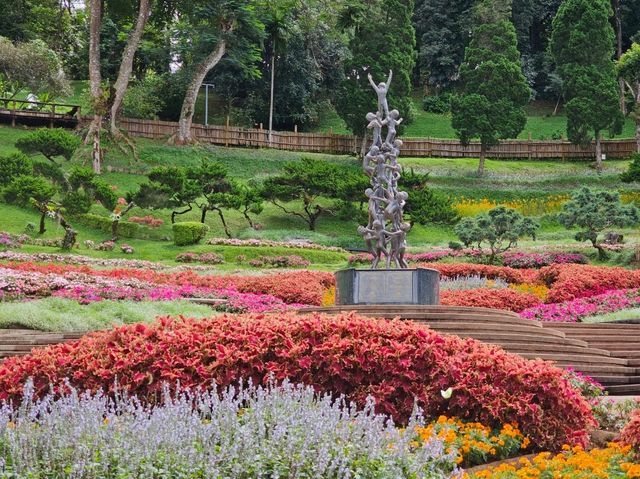 ขึ้นดอยตุง ชมดอกไม้บาน ที่สวนแม่ฟ้าหลวง จ.เชียงราย