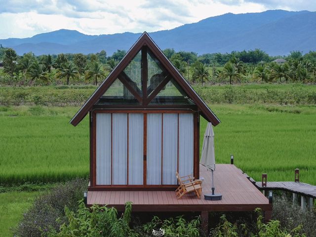 DaraDao Cafe  ร้านกาแฟกลางทุ่งนา