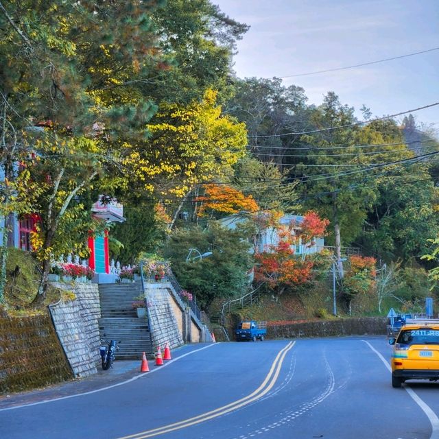 Foshoushan Farm