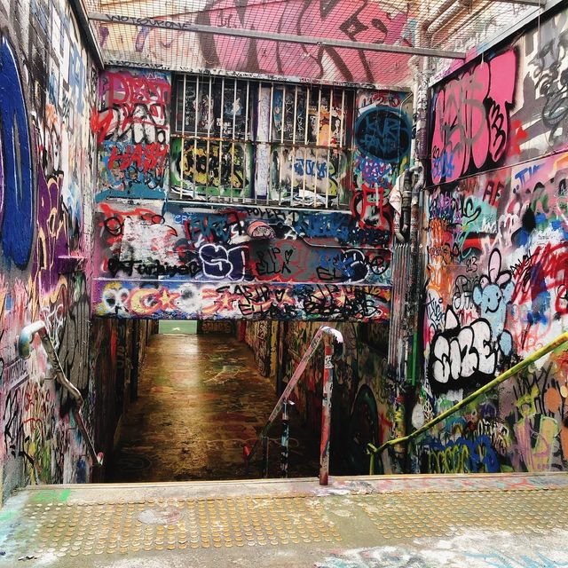 澳洲🇦🇺雪梨大學🎨 Graffiti Tunl 塗鴉隧道