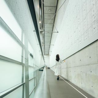 [Ehime] Tadao Ando Architecture: Clouds Above the Hill Museum