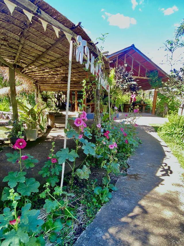 ดื่มน้ำองุ่นผลสดปั่น สดชื่นสุดๆ | สวนองุ่นนิศาชล