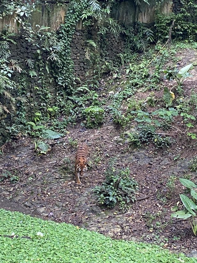 A day in the wild! ❤️❤️