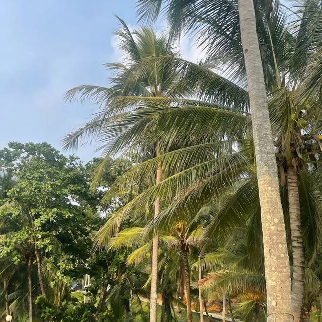 หาดนุ้ยภูเก็ต⛰️🌊🛥️