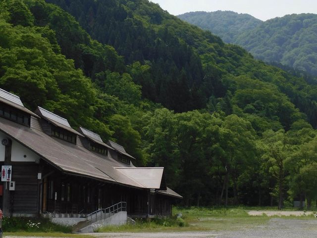 Camping in Style in the Mountains of Japan 🎌