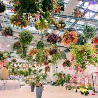 東京最新大型溫室植物園 HANA BIYORI 