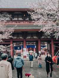 Ikegami Honmon-ji temple, Tokyo 🇯🇵