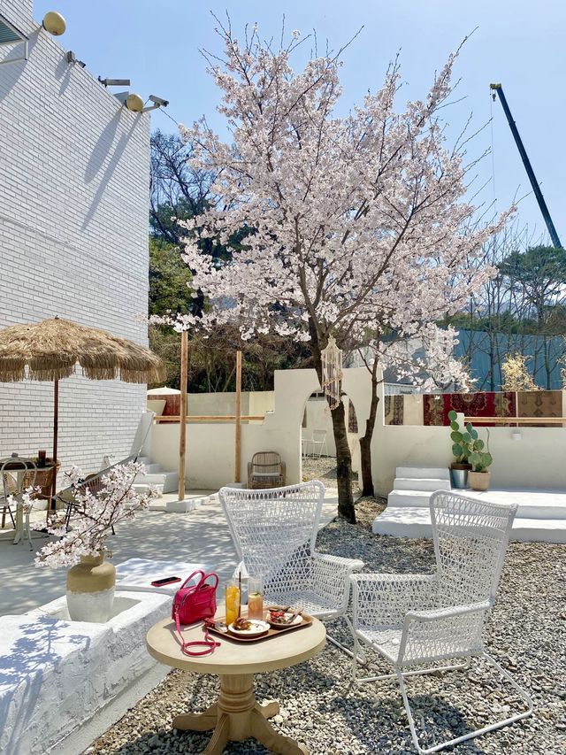  🌸경기도 하남에 있는 발리감성 벚꽃뷰 카페 🌸