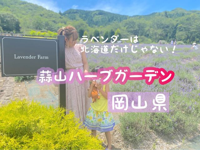 【岡山県】蒜山ハーブガーデンでラベンダー摘み