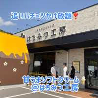 ハチミツかけ放題出来るソフトクリーム❣️