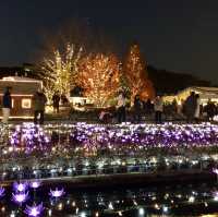 Magical Flowers Illumination in Japan