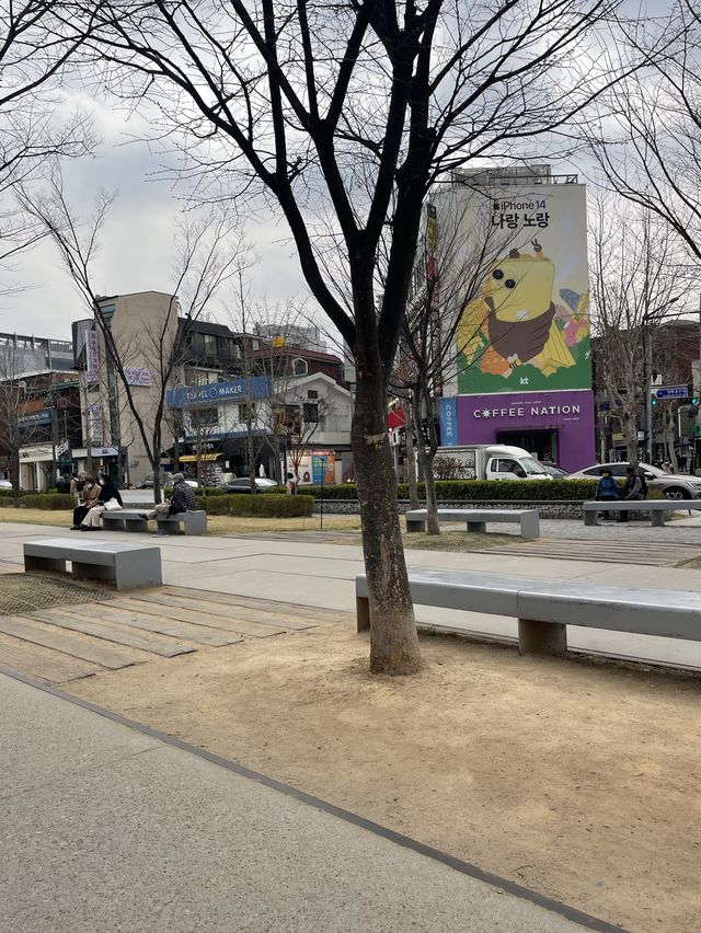 젊음의 거리 홍대 놀거리/여행 일정♥️