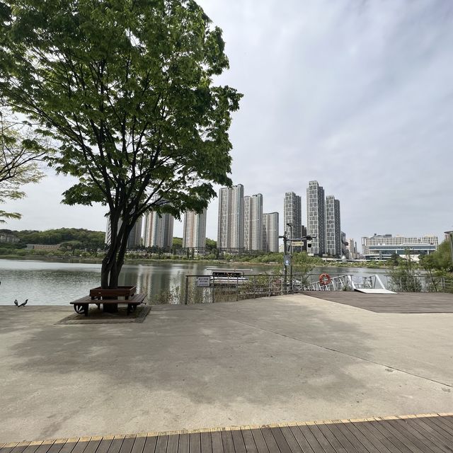 City Parks - Gwanggyo Lake Park