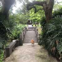 大溪中正公園